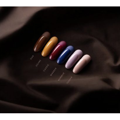 LUXIO ECHO Collection...